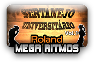Ritmos Sertanejo Universitário vol.1