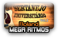 Ritmos Sertanejo Universitário vol.2